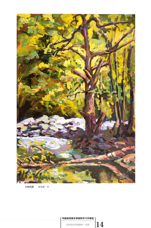 西安美术学院附中:色彩\/何润民