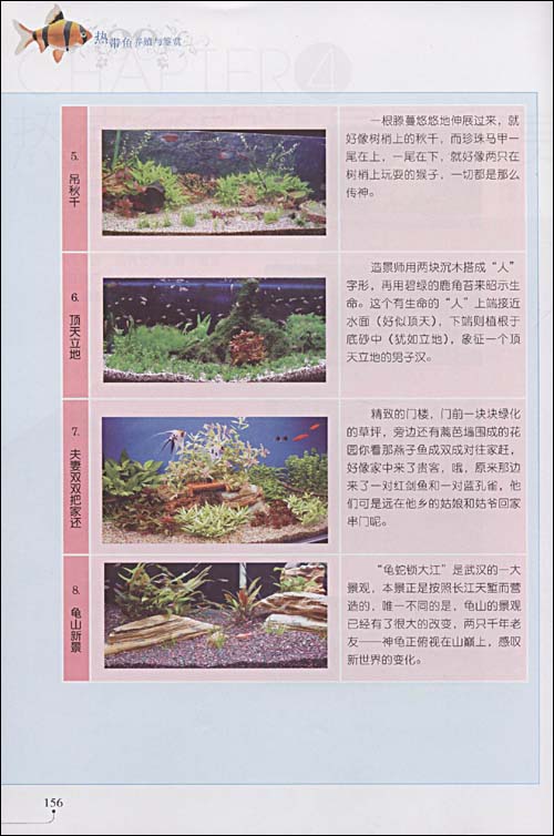 家庭观赏宠物系列热带鱼养殖与鉴赏(珍藏版)\/占
