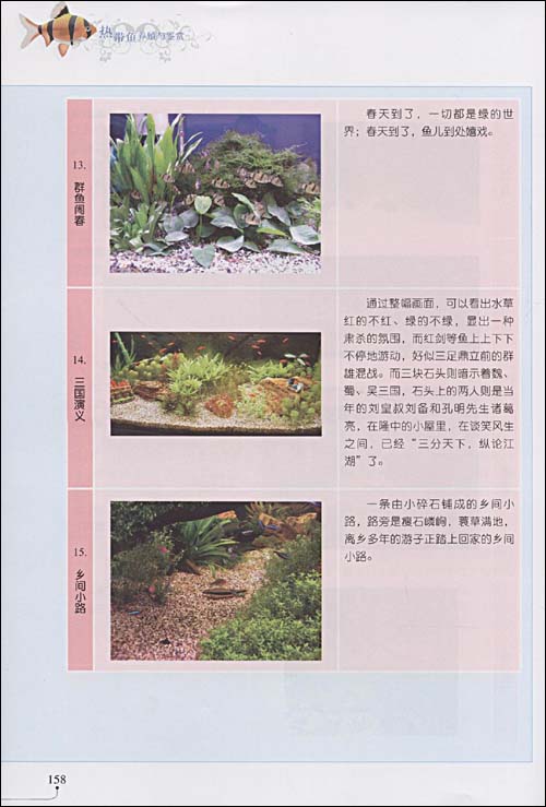 家庭观赏宠物系列热带鱼养殖与鉴赏(珍藏版)\/占
