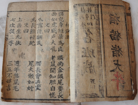 【贼猫】在线部分阅读_天下霸唱简介、作品集