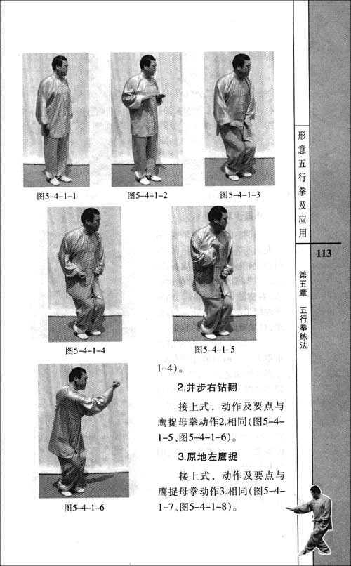 形意五行拳及应用\/杨维