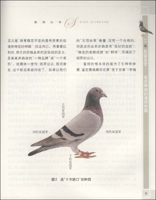 鉴鸽技巧(第2版)\/顾澄海-图书-亚马逊 [鸽子, 赛鸽]
