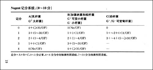妇产科实习掌中宝\/廖秦平
